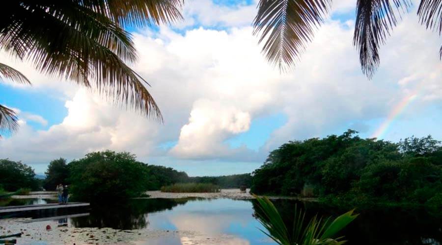 Puerto Rico cierra sus áreas naturales protegidas ante inminente paso de Beryl