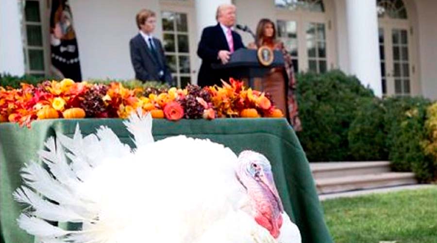 Donald Trump pasa Thanksgiving en Palm Beach