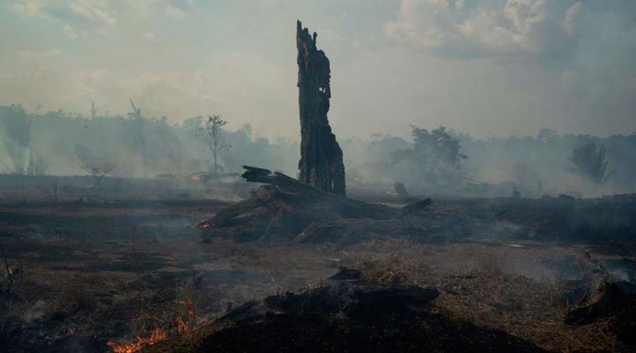 Bolsonaro: Los países amazónicos decidirán el futuro de la Amazonia